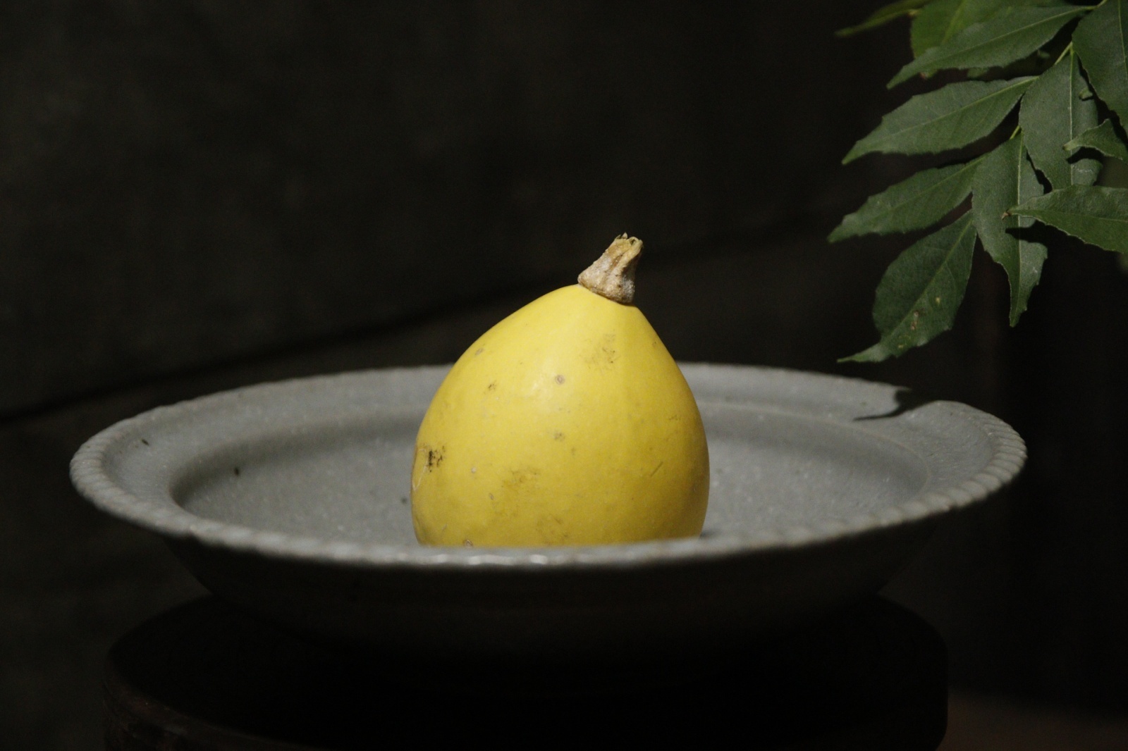 画像3: 古谷浩一　グレー釉　綱手鉢【アソート作品】 (3)