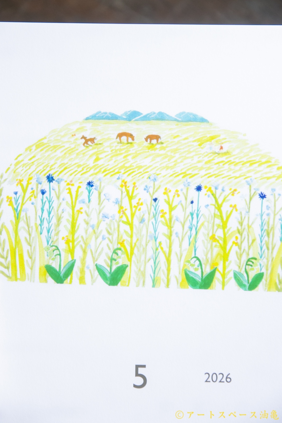 画像10: まえたこよみ　2026年 カレンダー＜レターパック対応商品＞ (10)