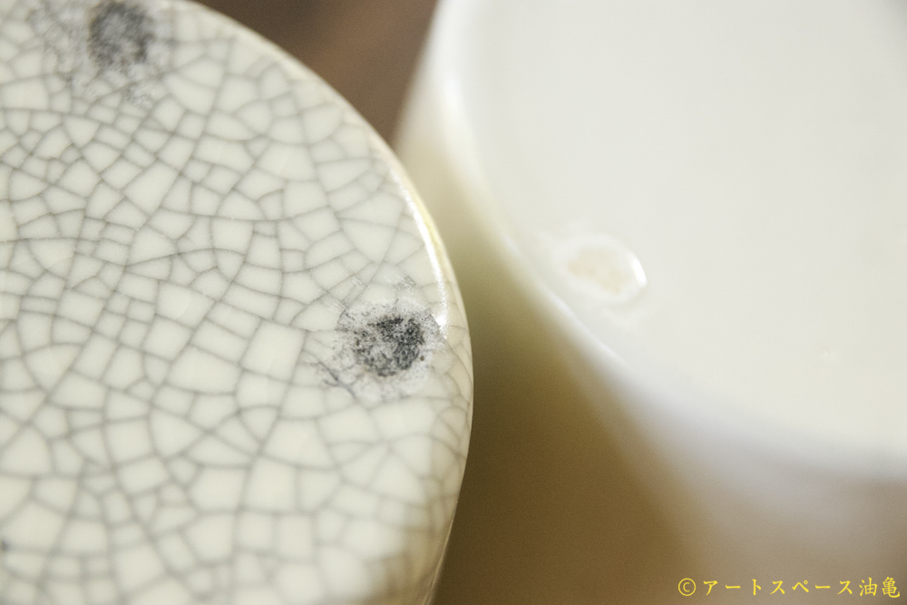 画像10: 大園篤志　ティッシュケース　墨貫入／白とイエロー (10)