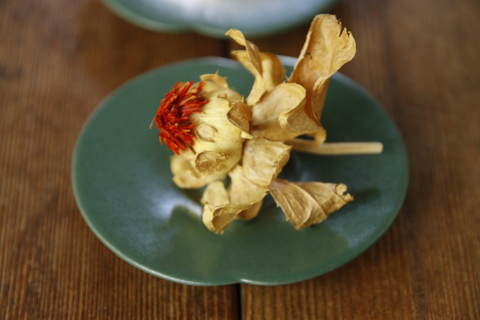 画像4: 大園篤志　豆輪花皿　二　グリーン【アソート作品】 (4)