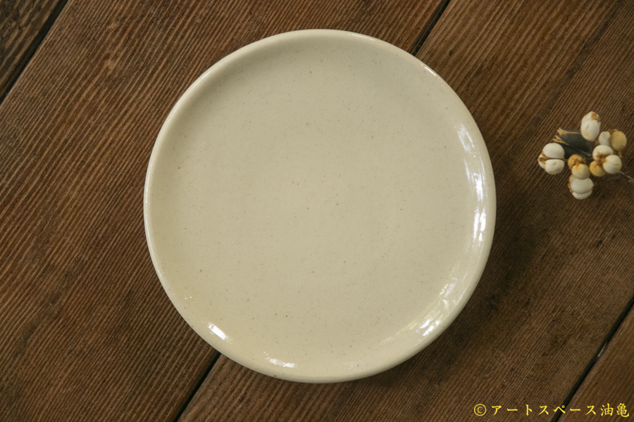 画像2: 大園篤志　プレート小　生成 (2)