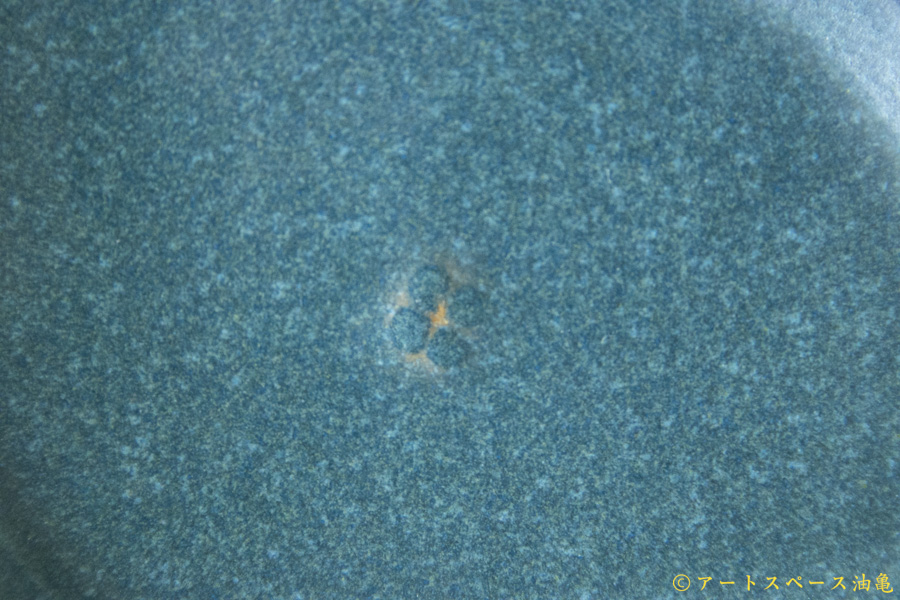 画像9: 山下 透　葉と実 　カレー皿【アソート作品】 (9)